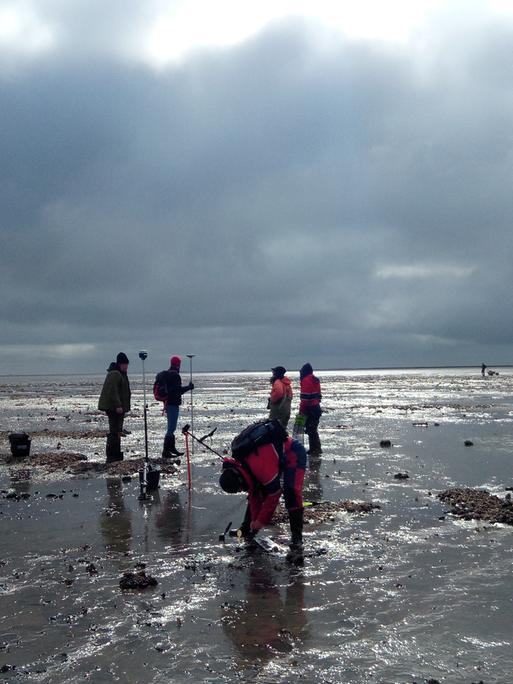 Ein Archäologenteam im Wattenmeer hat Stativstangen mit Magnet-Messköpfen aufgestellt