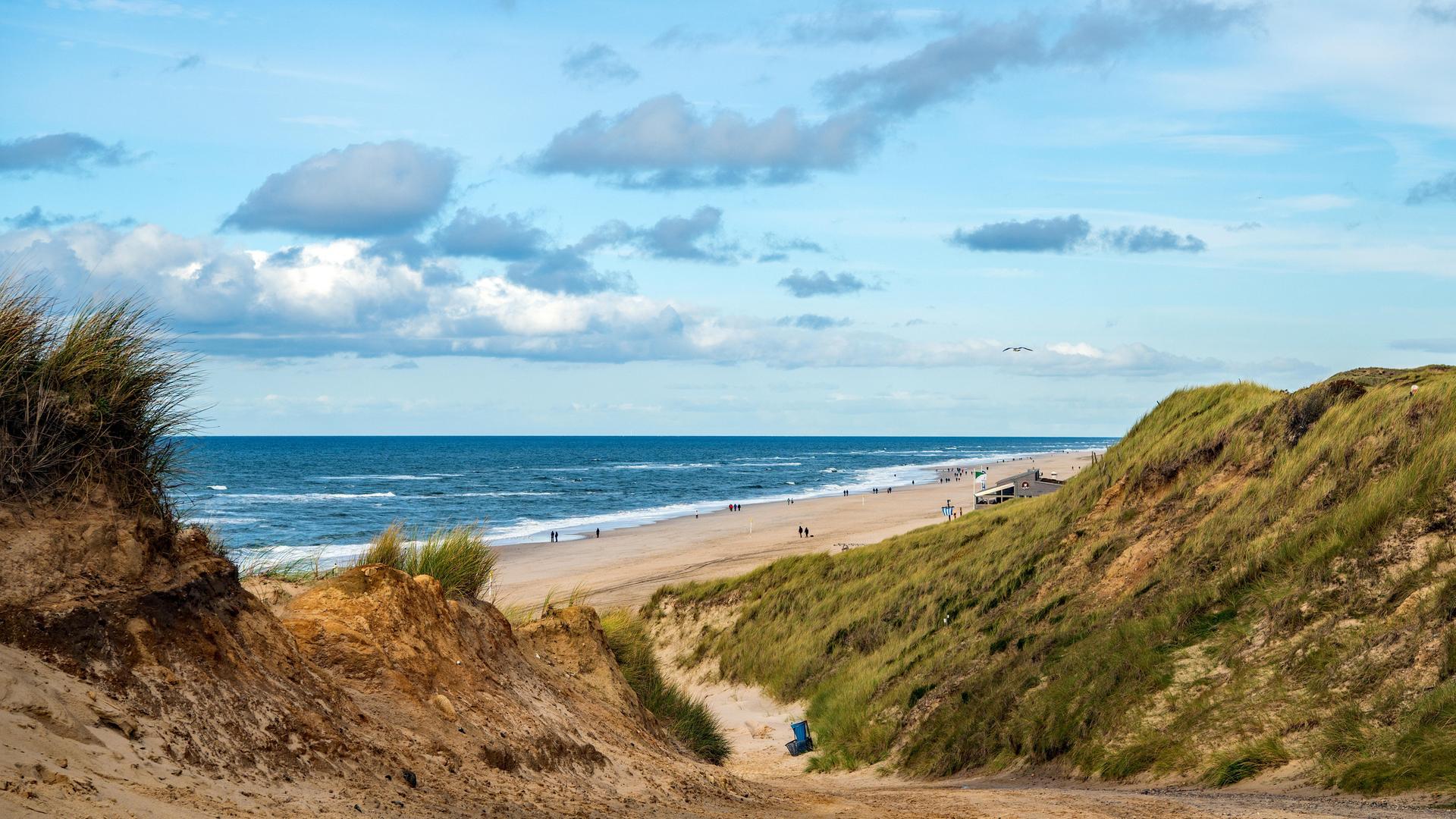 Das Foto zeigt die Dünen und den Strand auf der Nord-See-Insel Sylt.