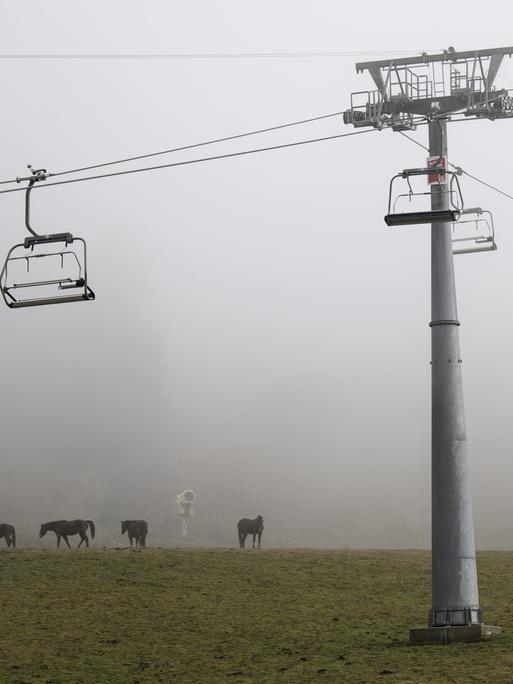 Ein Sessellift ohne Schnee, darunter Wiese und Pferde, Schweiz.