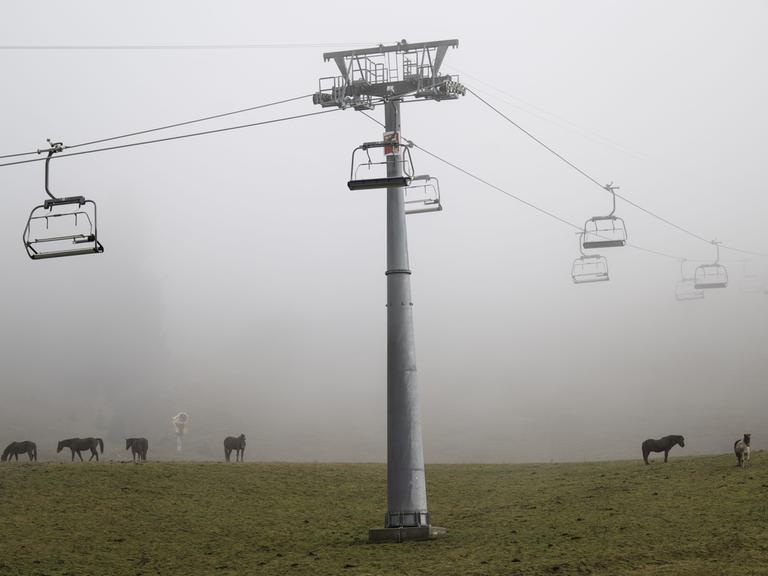 Ein Sessellift ohne Schnee, darunter Wiese und Pferde, Schweiz.