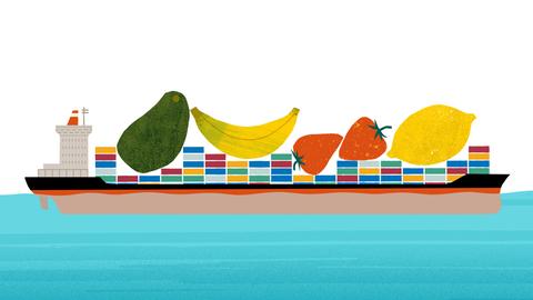 Illustration: Ein Cargoschiff mit übergrossem Obst und Gemüse auf Deck.