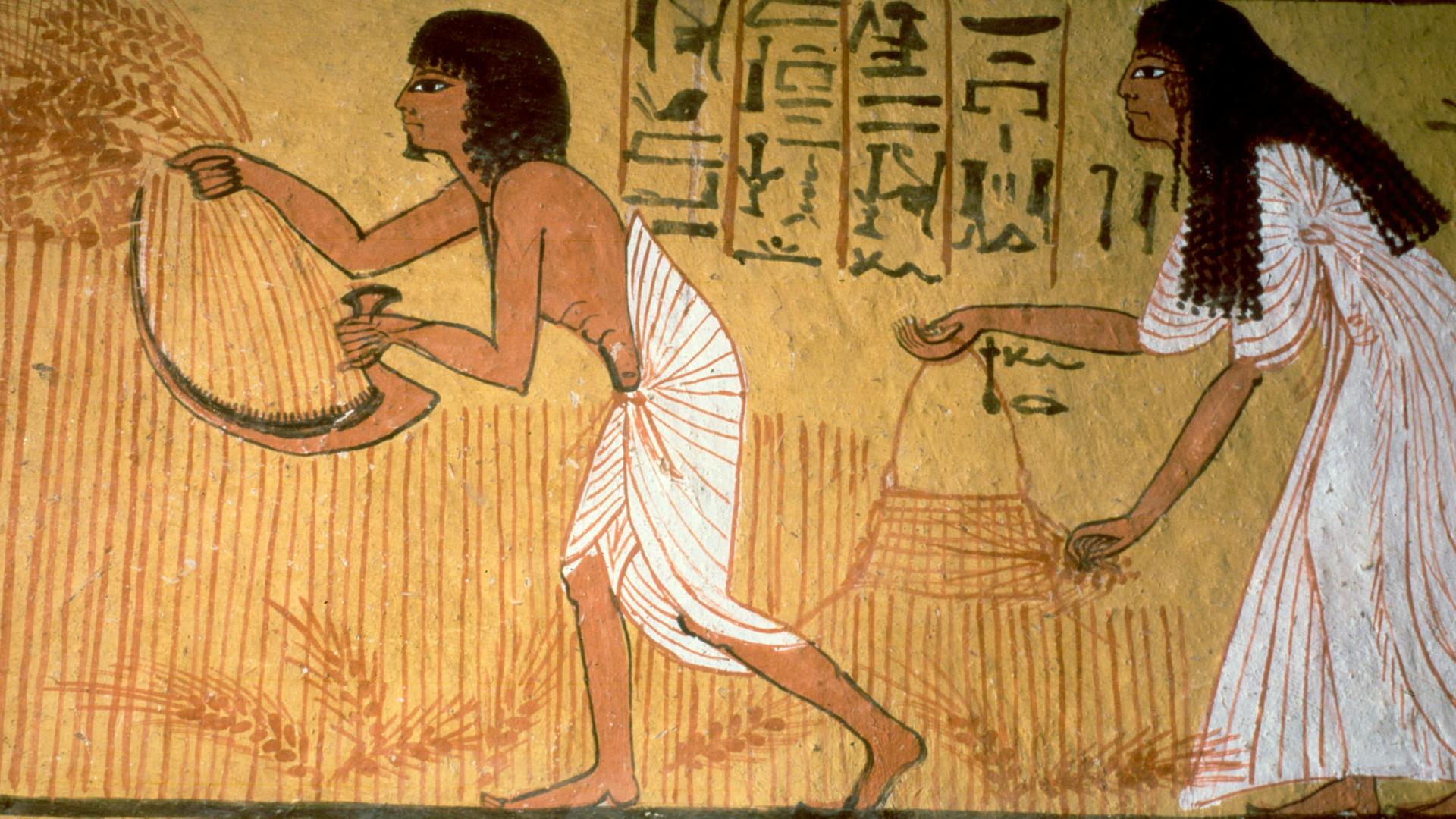 Getreideernte aus dem Grab des Sennedjem. Ägyptische Wandmalerei um 1290 v. u. Z..