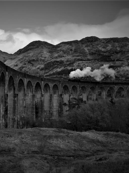Schwarz-Weiß-Aufnahme einer Dampflok, die in der Landschaft über ein Viadukt fährt.