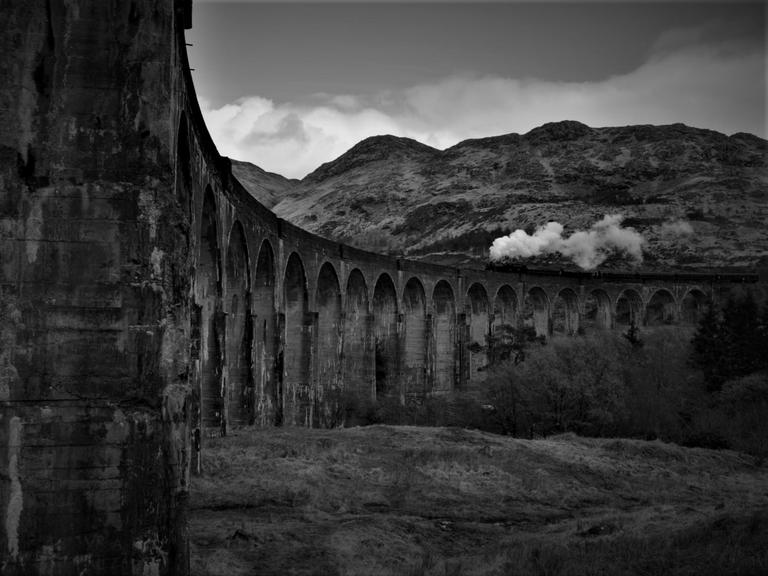 Schwarz-Weiß-Aufnahme einer Dampflok, die in der Landschaft über ein Viadukt fährt.