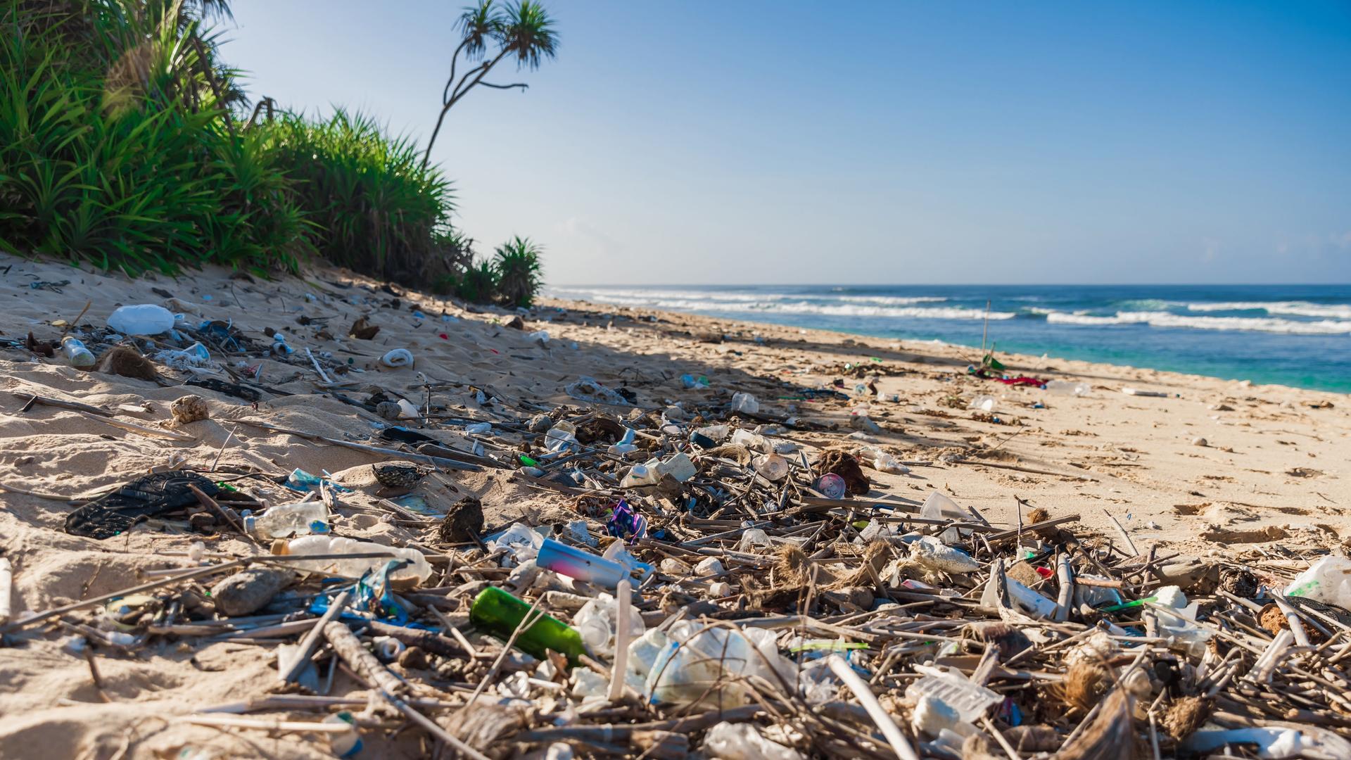 An einem Strand liegt ganz viel Plastikmüll. 