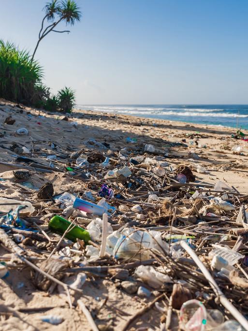 An einem Strand liegt ganz viel Plastikmüll. 