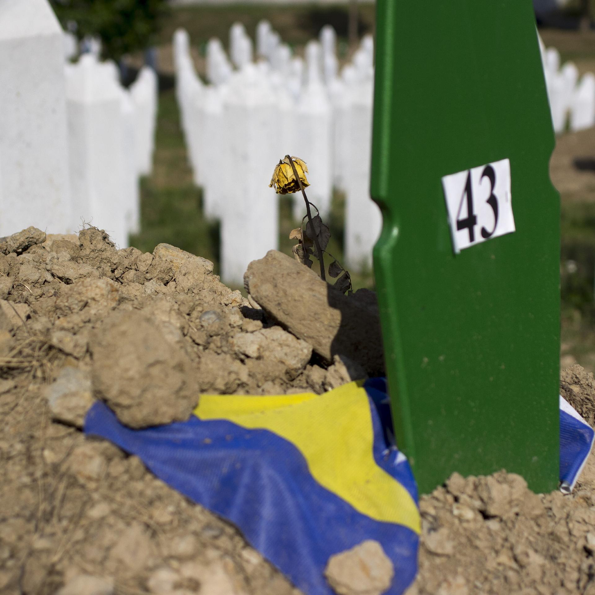 Taina Tervonen: „Die Reparatur der Lebenden“ - Bosnien-Krieg – Den Toten einen Namen geben