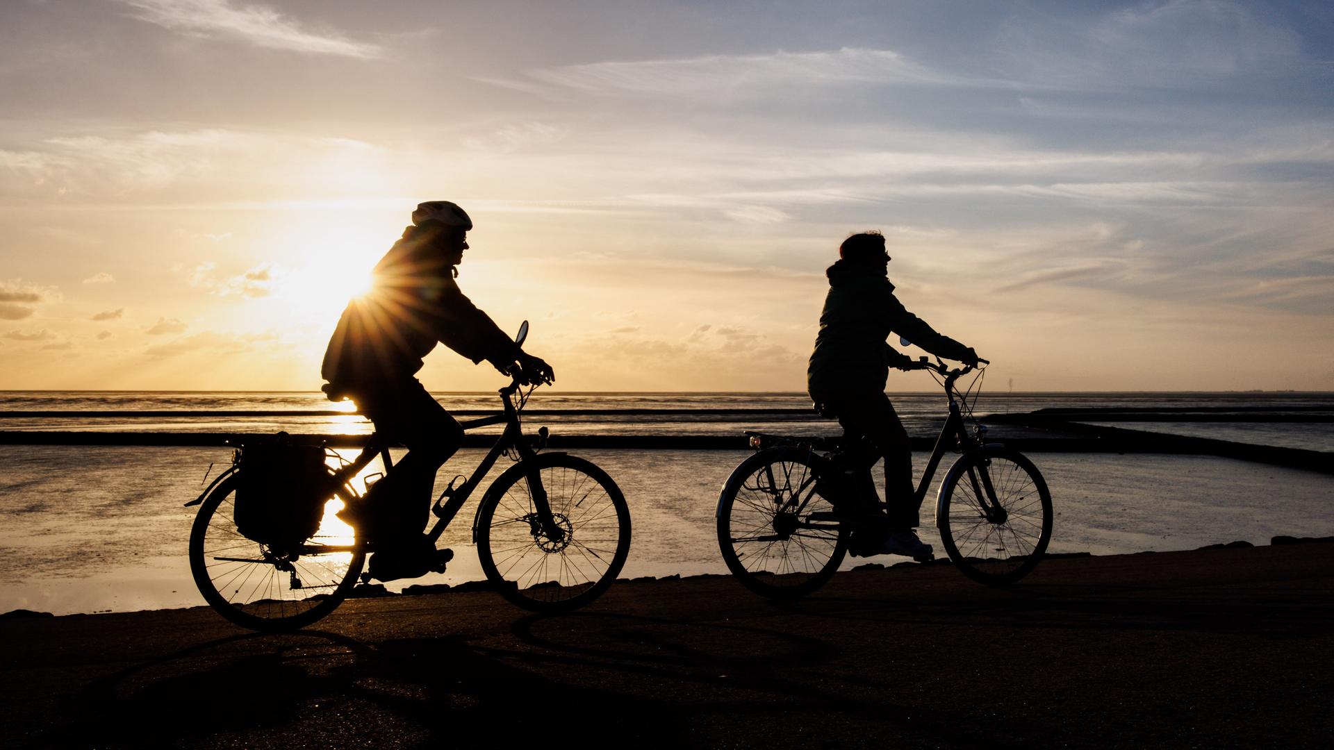 Zwei Radfahrer fahren am Deich bei Norddeich in Niedersachsen am Wattenmeer entlang Zwei Radfahrer fahren am Deich bei Norddeich in Niedersachsen am Wattenmeer entlang