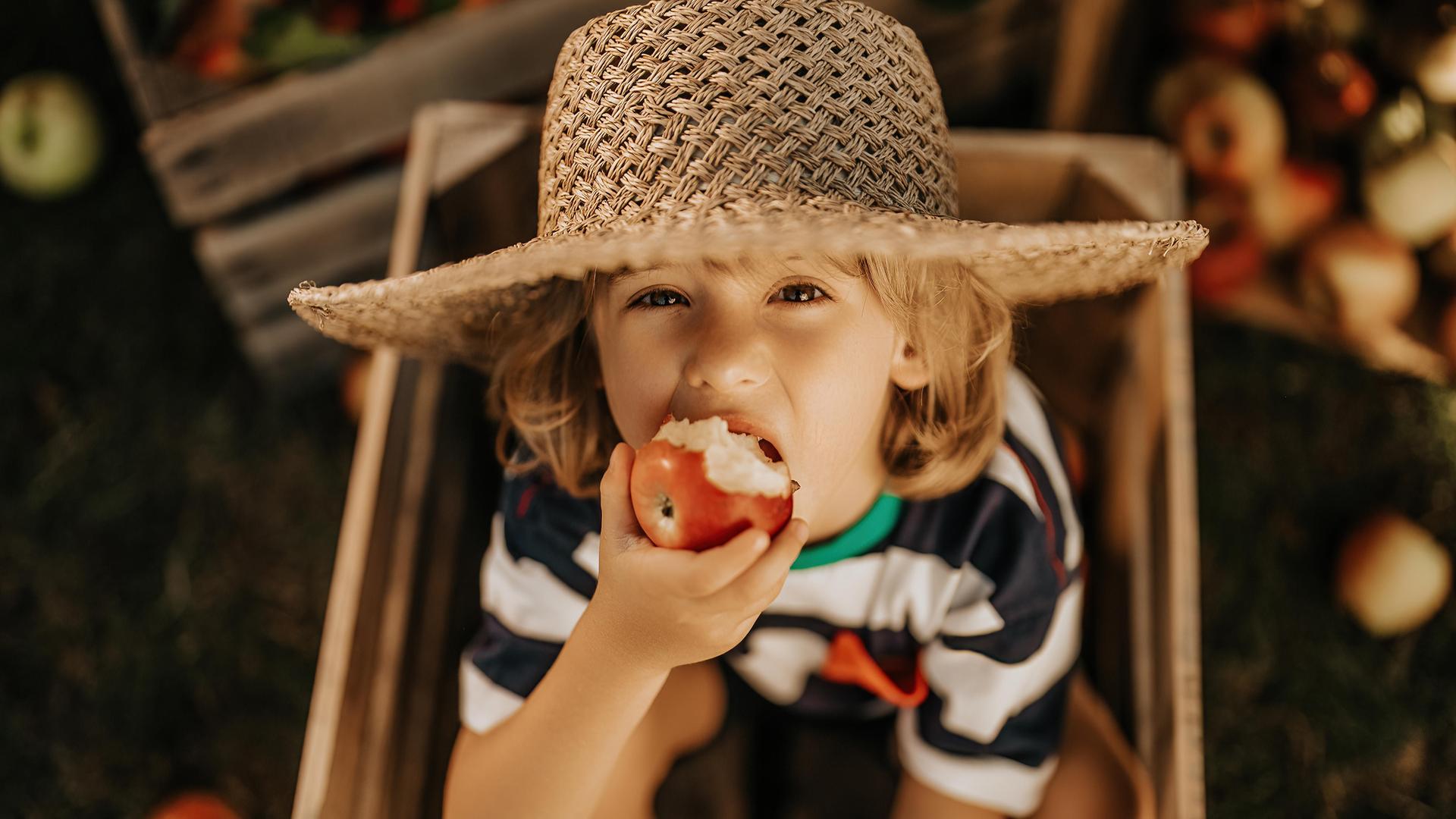 Ein Junge mit einem Strohhut sitzt in einer Holzkiste und isst einen Apfel.

