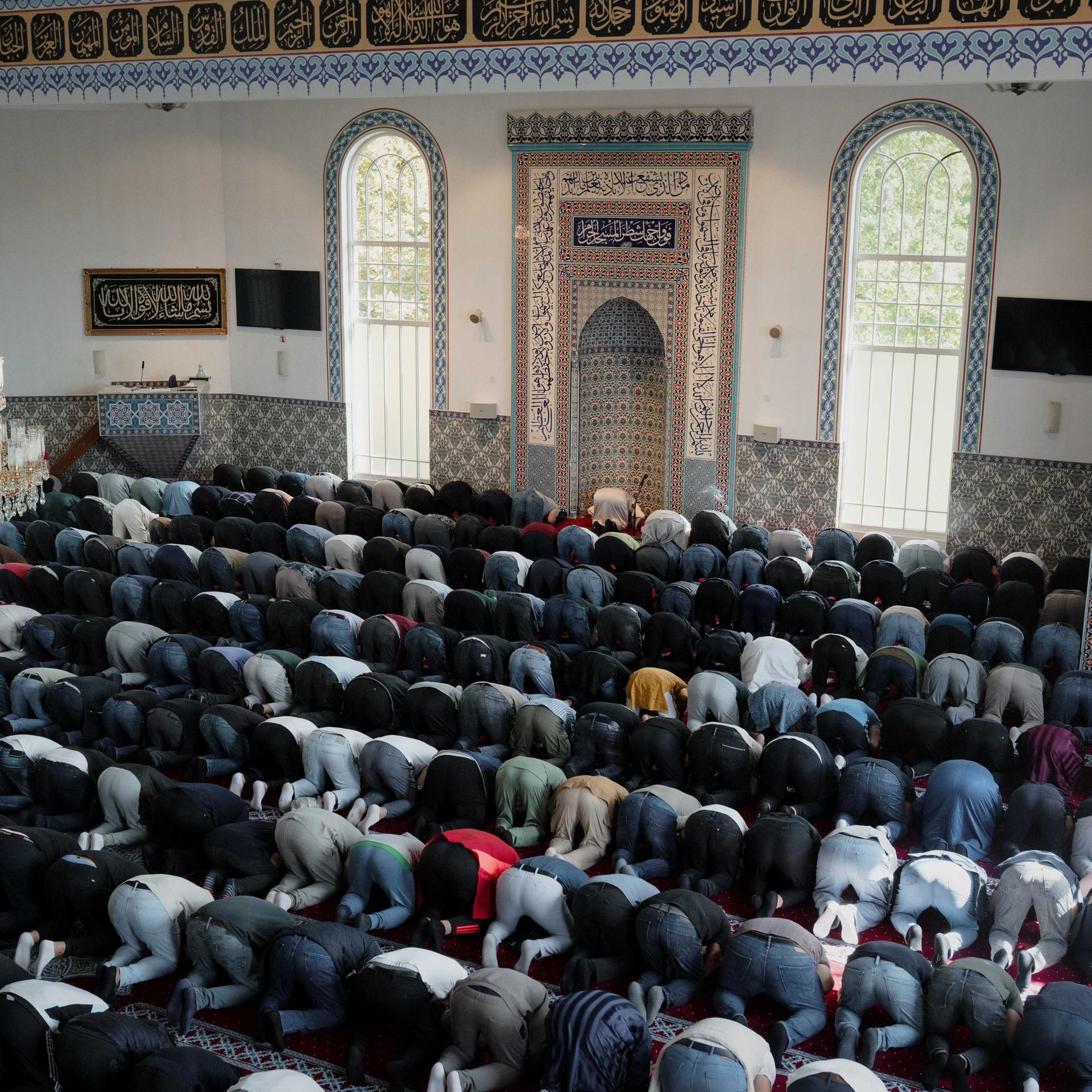 Islam-Konvertiten - Warum sich Menschen Allah zuwenden