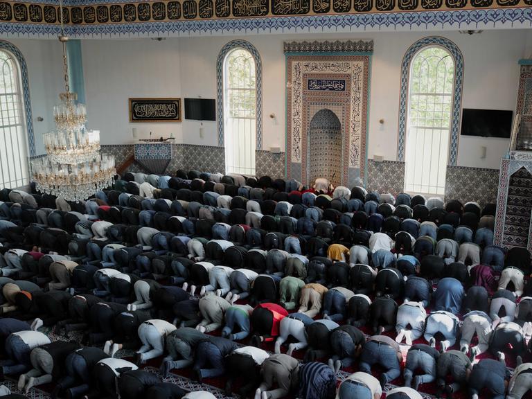 Muslime knieen mit dem Kopf auf dem Boden nebeneinander in einer Moschee.