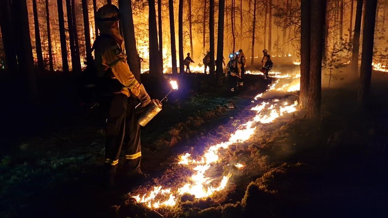 Einsatzkräfte einer Hilfsorganisation legen Gegenfeuer, um eine weitere Ausbreitung des Waldbrandes zu verhindern und die Feuerwehr bei der Bekämpung des Feuers zu unterstützen.