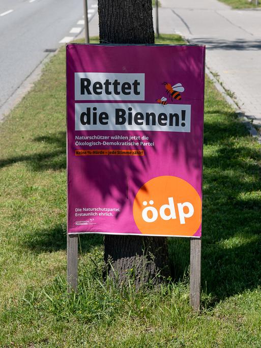 Ein Wahlplakat der ödp: "Rettet die Bienen!" steht an einem Straßenrand, 2024.