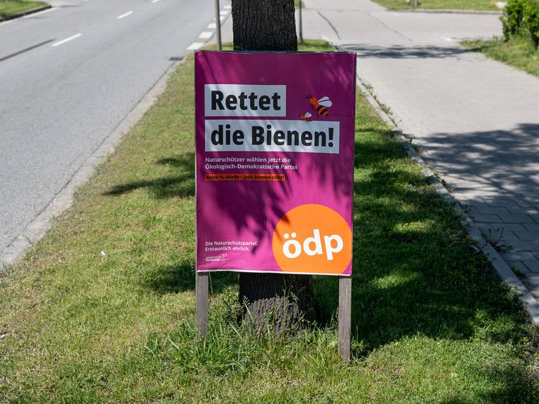 Ein Wahlplakat der ödp: "Rettet die Bienen!" steht an einem Straßenrand, 2024.