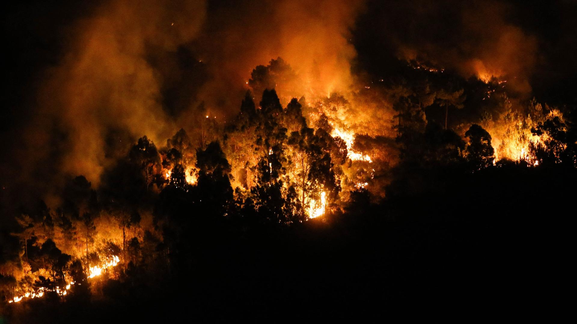 Die Nachtaufnahme zeigt einen heftigen Waldbrand in Galizien. Die Nachtaufnahme zeigt einen heftigen Waldbrand in Galizien.