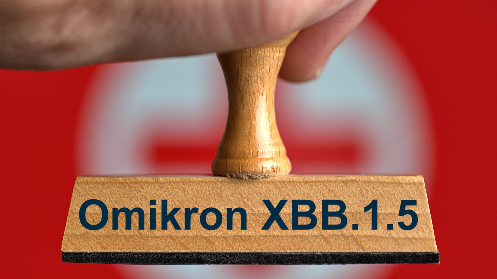 [M] Ein symbolischer Holzstempel mit der Aufschrift "Omikron XBB.1.5", gehalten von einer Hand im Anschnitt vor einem unscharfen Hintergrund mit einem roten Kreuz. Foto mit Composing als Symbolbild für die Corona Subvariante XBB.1.5. || Modellfreigabe vorhanden