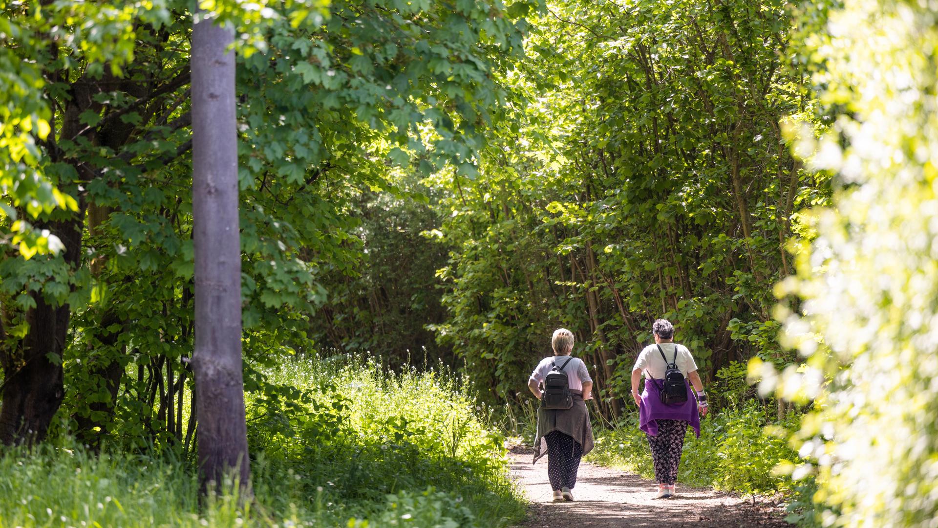 Zu sehen sind zwei Wanderer auf einem sonnigen Waldweg.