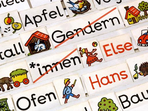 In einem Lesekasten sind verschiedene Bilder und Worte. Eine Karte ist mit "*innen" beschrieben. Es ist ein Symbolfoto für das Verbot von Gendersprache in Bayern.