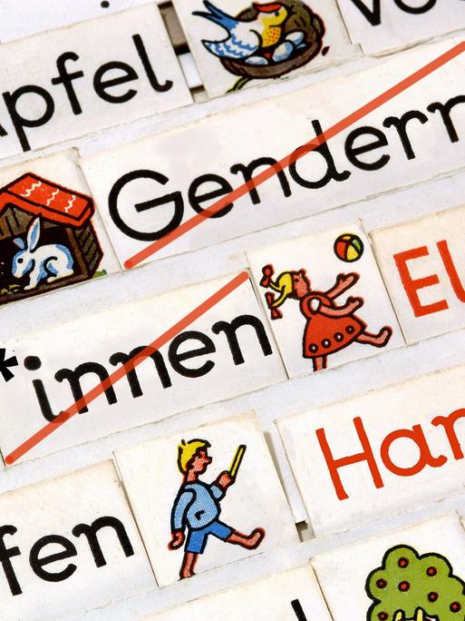 In einem Lesekasten sind verschiedene Bilder und Worte. Eine Karte ist mit "*innen" beschrieben. Es ist ein Symbolfoto für das Verbot von Gendersprache in Bayern.