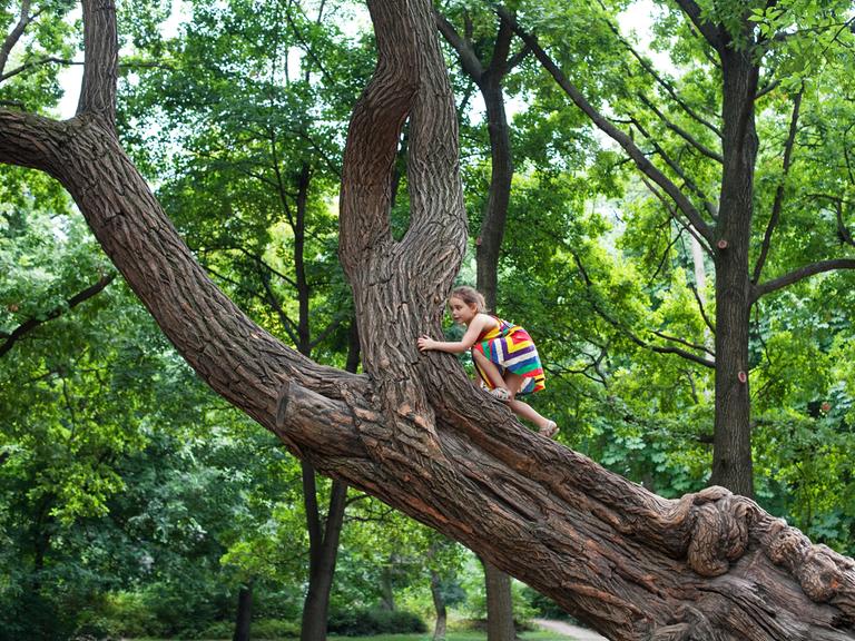 Ein Mädchen klettert auf einen riesigen Baum.