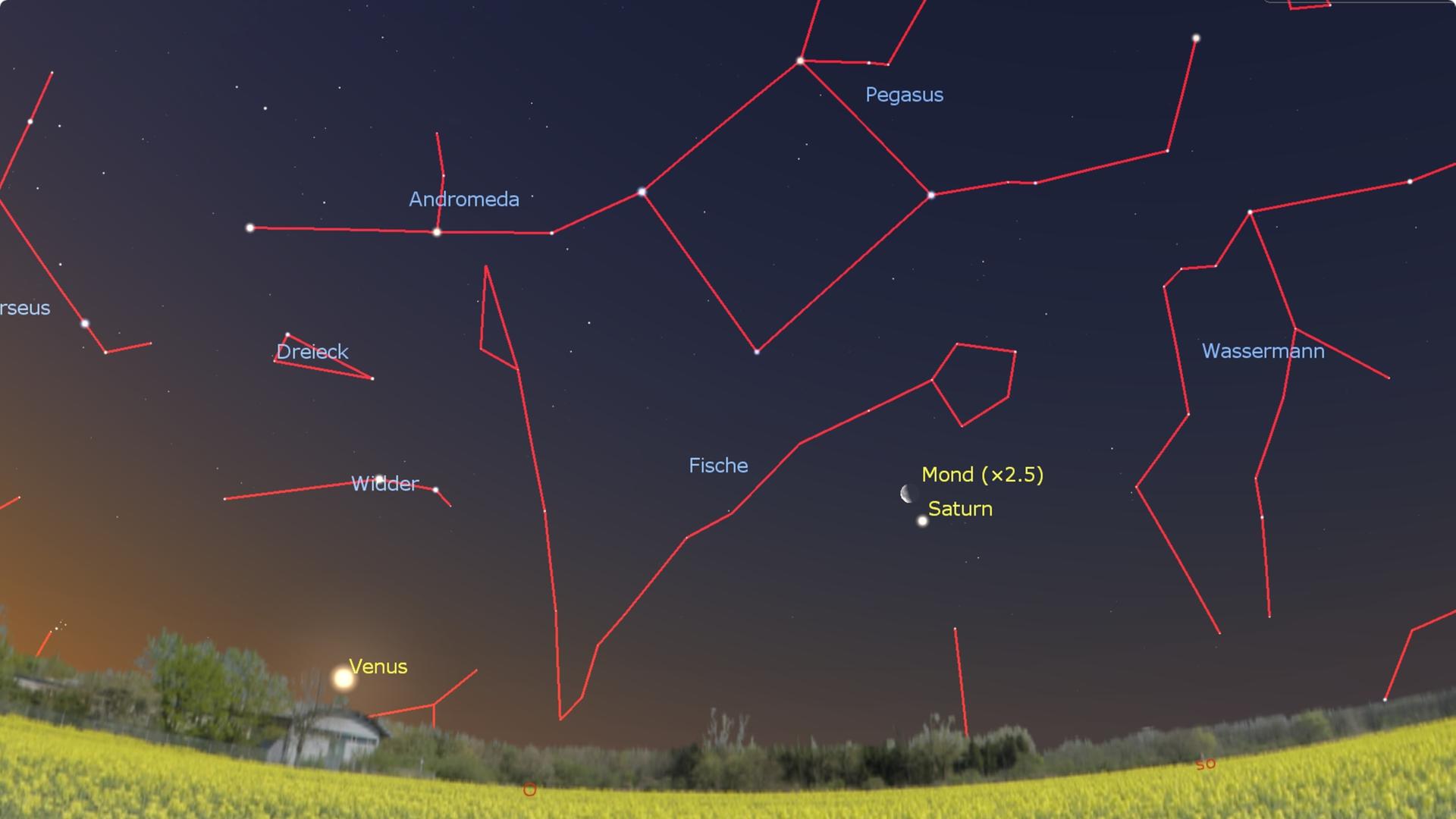 Morgen früh gegen 4 Uhr steht der Mond oberhalb Saturns am Osthimmel. Neptun ist mit bloßem Auge nicht zu erkennen, aber ein Stück weiter links ist die helle Venus zu sehen. 