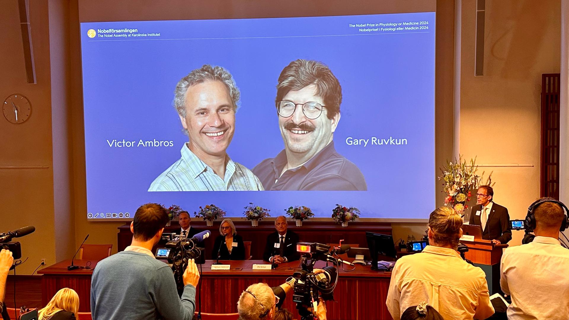 Thomas Perlmann (r), Sekretär der Nobelversammlung, verkündet die Gewinner des Nobelpreises für Medizin 2024, Victor Ambros (l-r, Leinwand) und Gary Ruvkun, von denen Fotos auf eine Leinwand projiziert werden.