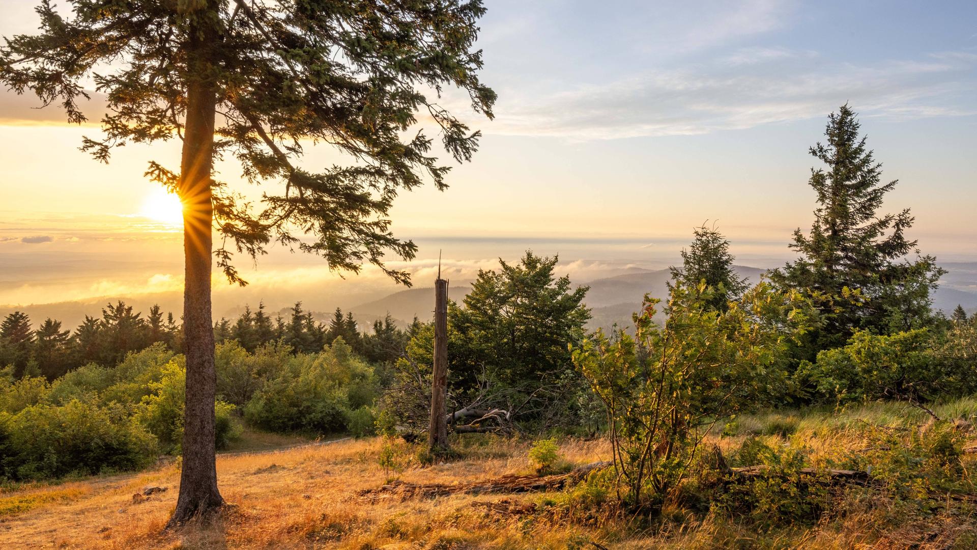 Sommerabend im Taunus Die Abendsonne scheint nach einem Gewitterschauer über der Landschaft am Grossen Feldberg im Taunus. Sommerabend im Taunus Die Abendsonne scheint nach einem Gewitterschauer über der Landschaft am Grossen Feldberg im Taunus.