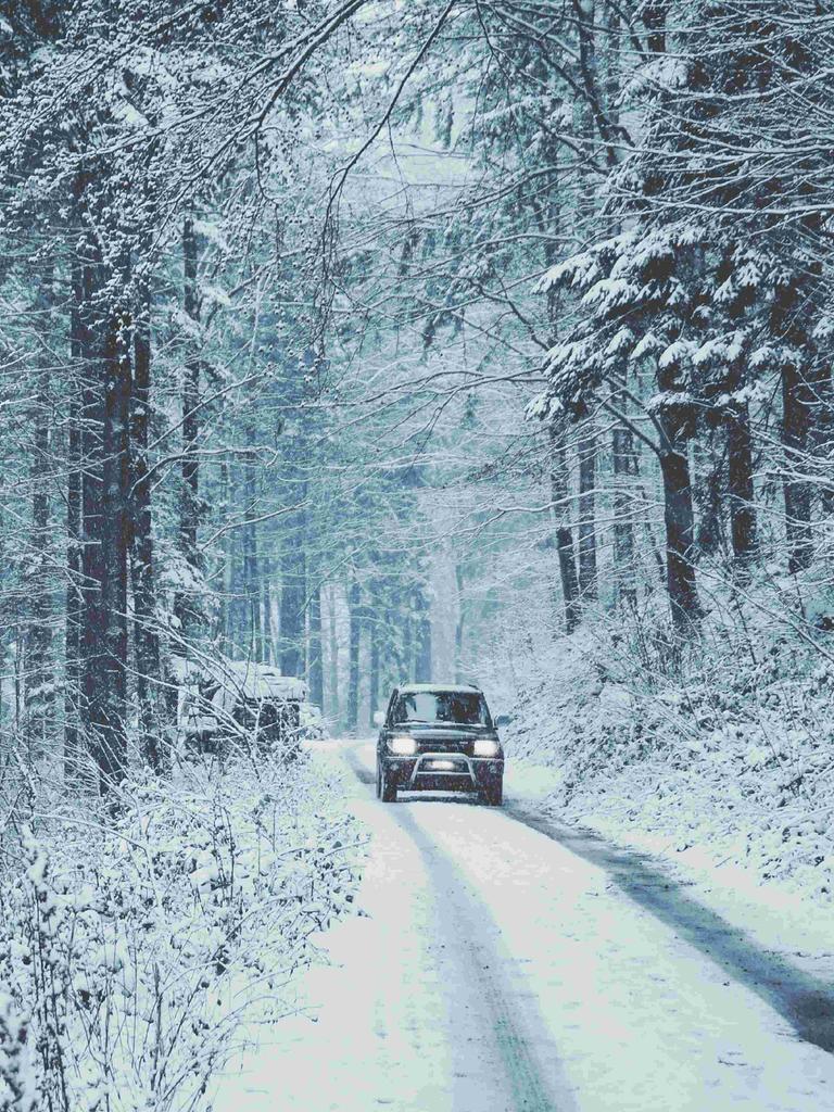 Eine verschneite Straße im Tannenwald, darauf fährt ein Auto.