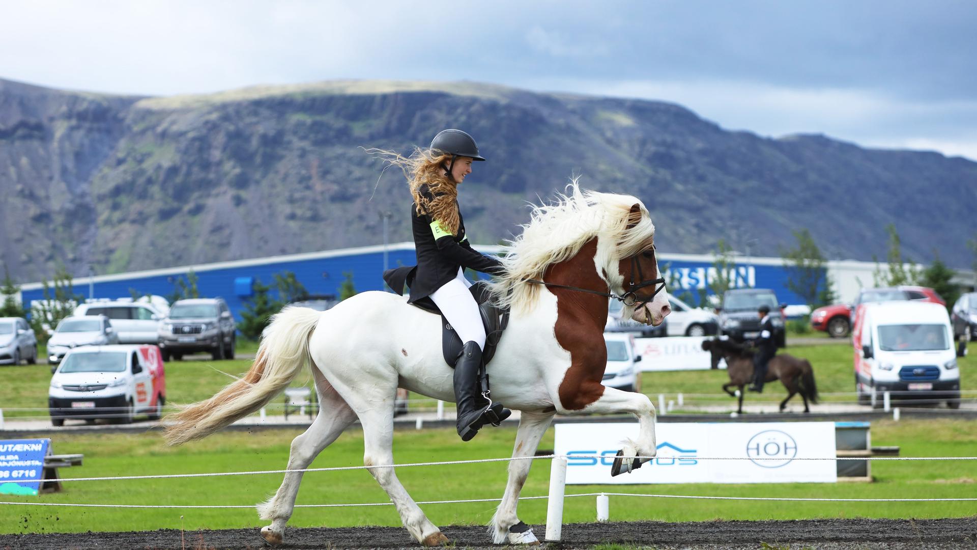 Eine Reiter und und ihr Pferd in Aktion bei den nationalen Titelkämpfen in Selfoss im Süden Islands. 