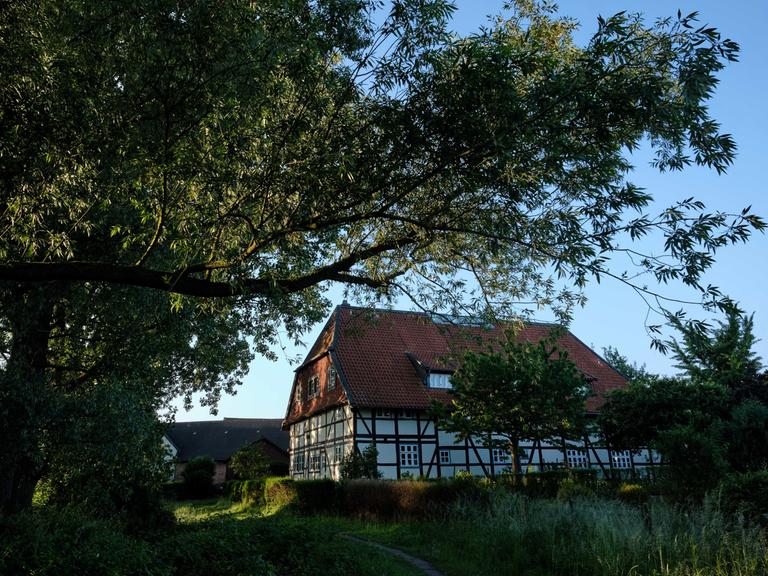 Ein Fachwerkhaus an einem Deich in der nördlichen Okeraue im Ortsteil Watenbüttel wird von der Sonne beschienen.