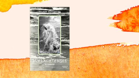 Das Cover zeigt den Ausschnitt aus einem Gemälde, in dem ein muskulöser Mann in theatralischer Pose eine Frau aus den Fluten hebt. Der Ausschnitt ist allerdings so in das Cover eingebettet, als handle es sich um einen per App verschickten Screenshot. 
