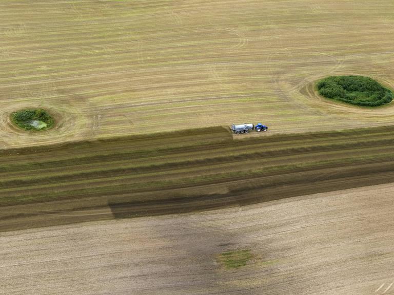 Auf einem abgeernteten Feld mit Wald und Wieseninsel bringt ein Landwirt mit seinem Trecker Gülle aus. Wo er gefahren ist, ist das Feld dunkel gefärbt, sonst hell. 