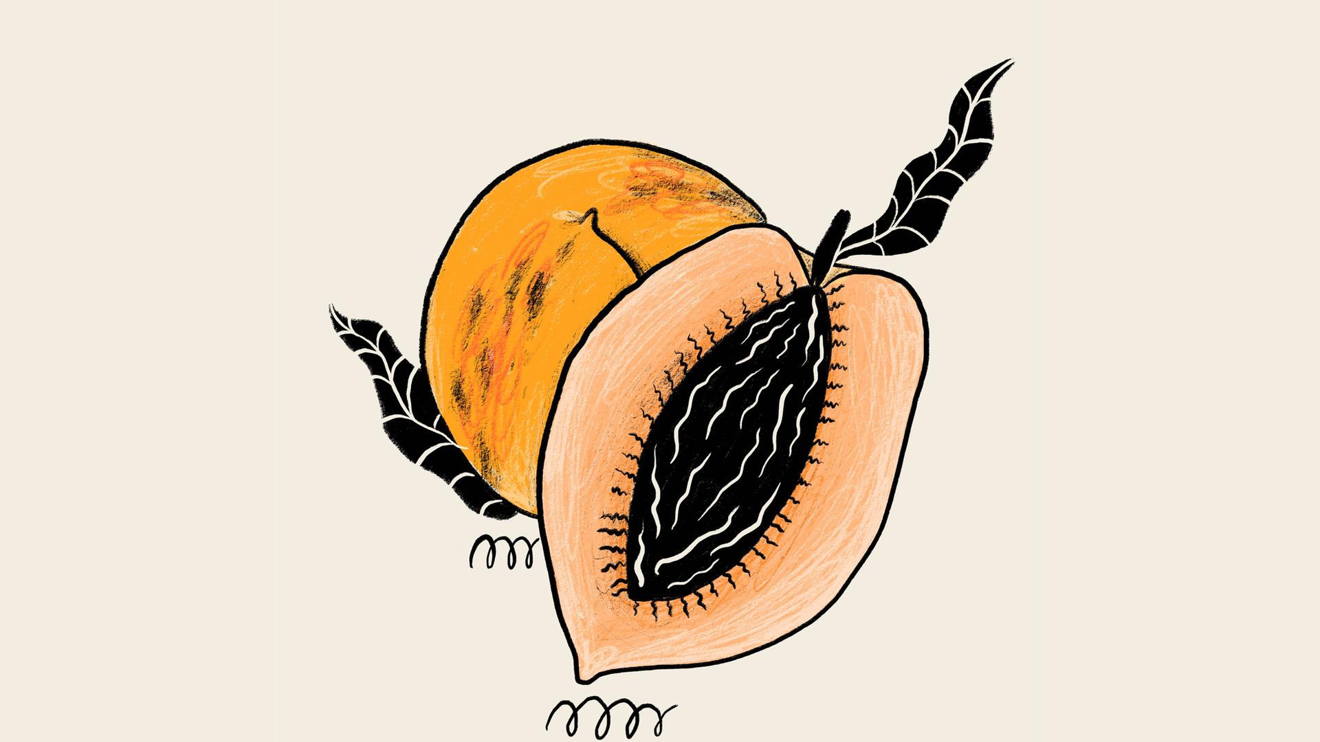 Illustration einer reifen Papaya, die aufgeschnitten wurde, um ihre schwarzen Kerne zu enthüllen, vor einem neutralen Hintergrund.