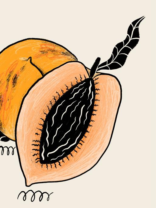 Illustration einer reifen Papaya, die aufgeschnitten wurde, um ihre schwarzen Kerne zu enthüllen, vor einem neutralen Hintergrund.