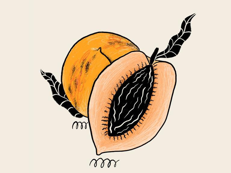 Illustration einer reifen Papaya, die aufgeschnitten wurde, um ihre schwarzen Kerne zu enthüllen, vor einem neutralen Hintergrund.