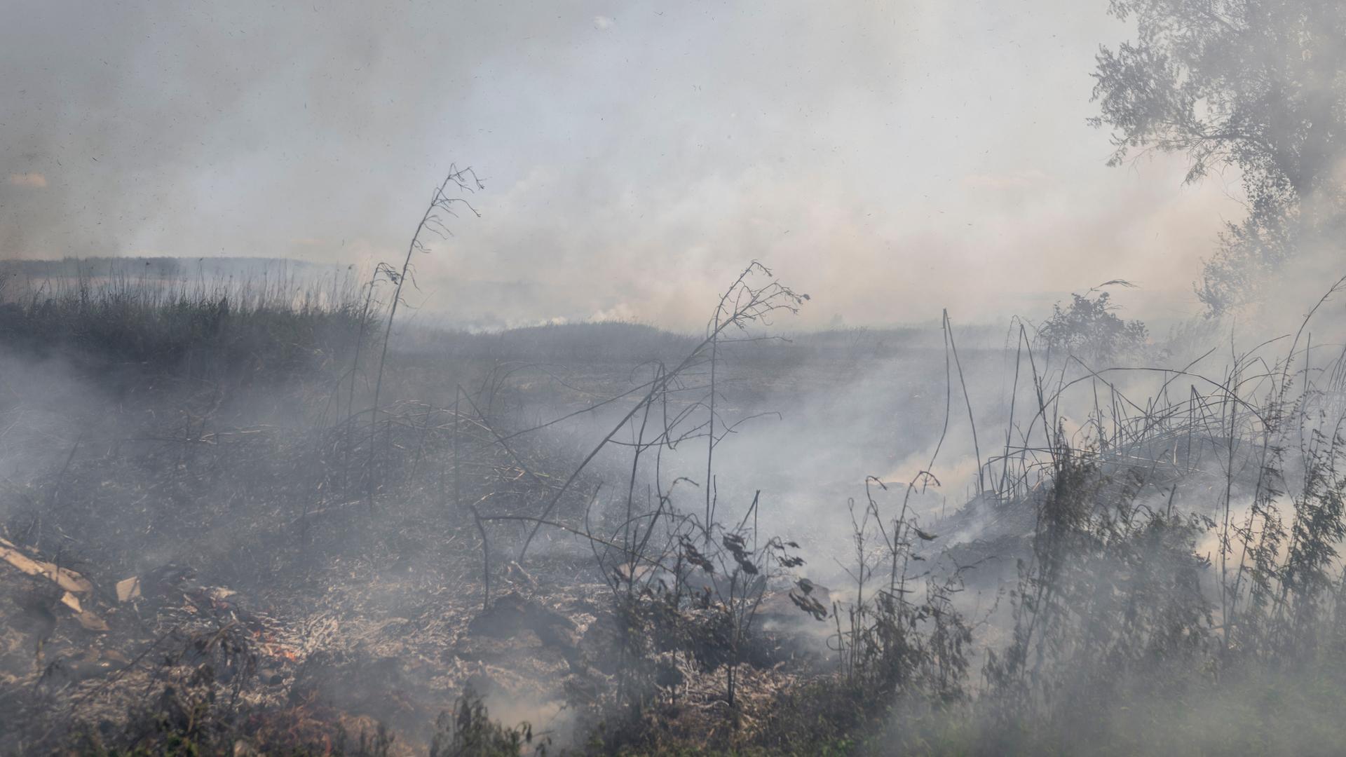 Rauchschwader über einem Feld in der Nähe von Bachmut in der Ukraine nach einem russischen Bombardement.