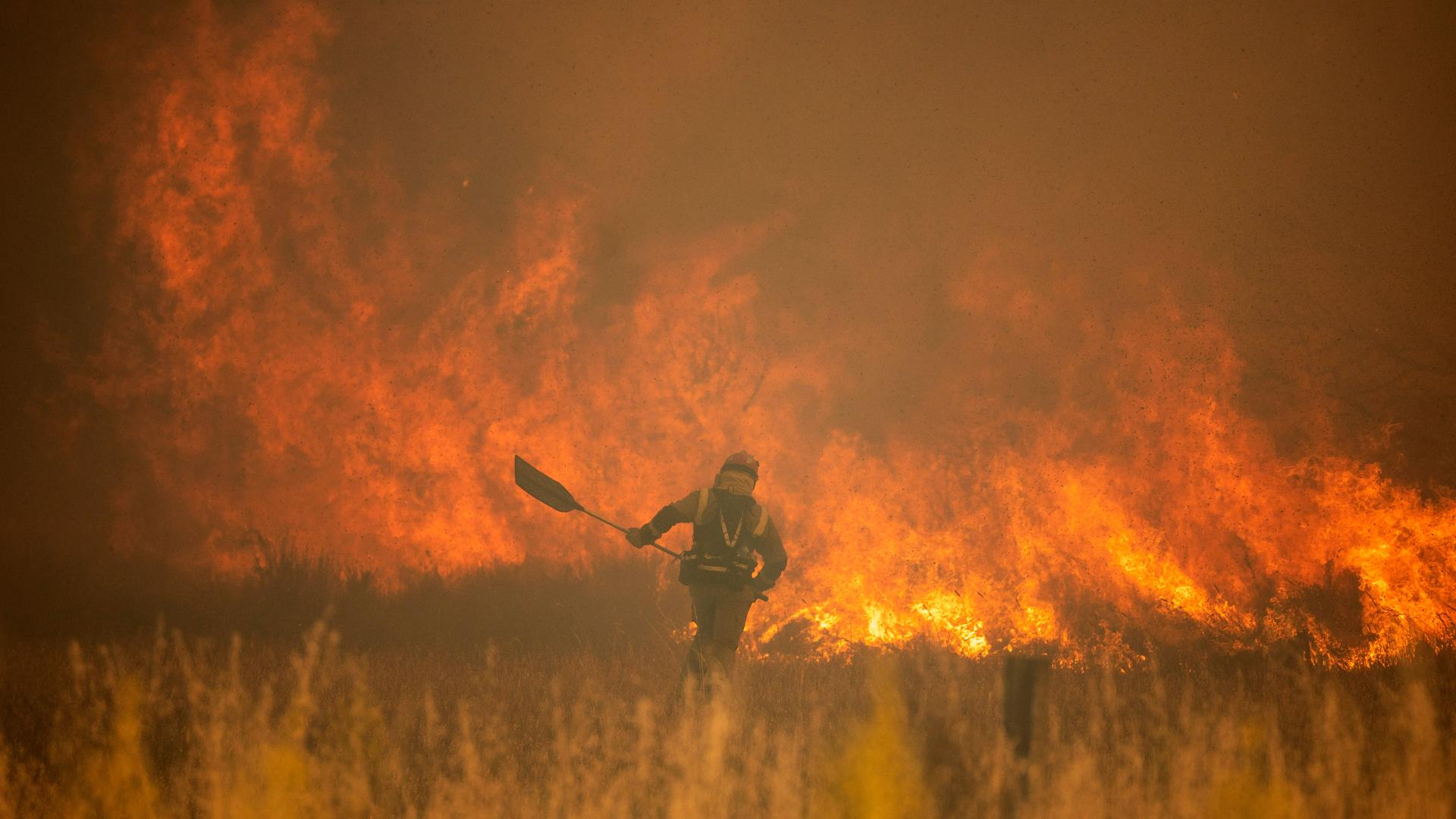 Ein Feuerwehrmann arbeitet vor den Flammen eines Waldbrandes in der Sierra de la Culebra 2022. Tausende Hektar bewaldetes Hügelland im Nordwesten Spaniens sind durch einen Waldbrand verbrannt.