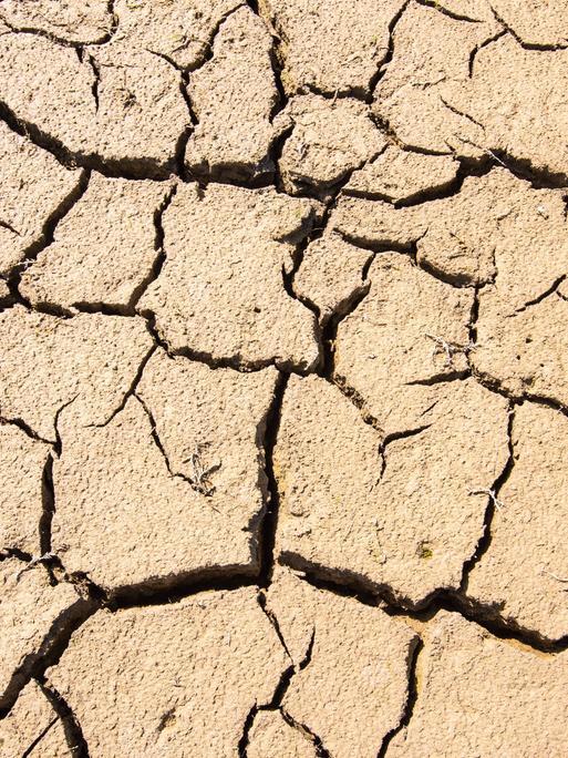 Trockenheit und rissiger Boden Wasserknappheit und Hitze führen zu Rissen am Boden vom Forggensee in Bayern Forggensee Bayern Deutschland