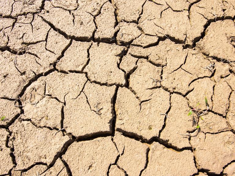 Trockenheit und rissiger Boden Wasserknappheit und Hitze führen zu Rissen am Boden vom Forggensee in Bayern Forggensee Bayern Deutschland