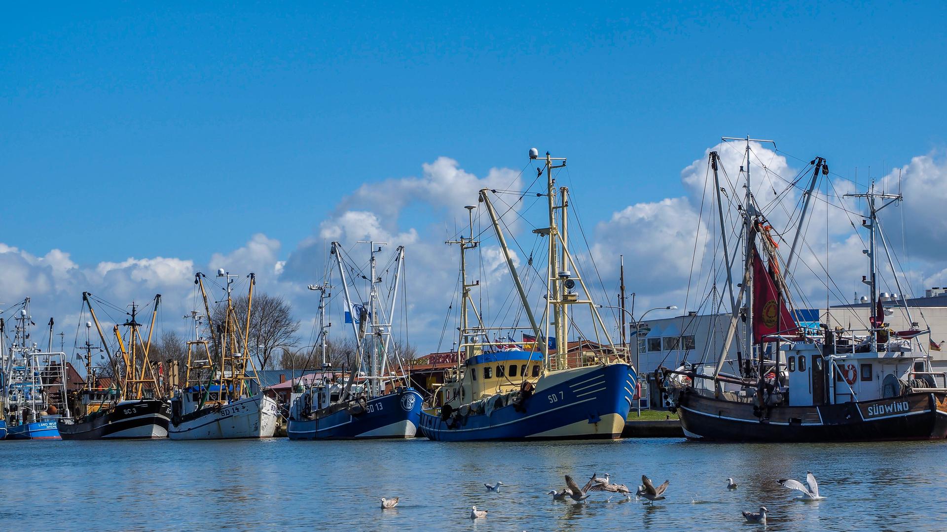 Krabbenfischer vor Anker im Hafen von Büsum.
