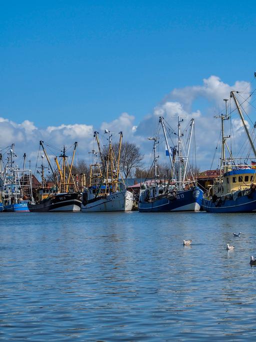 Krabbenfischer vor Anker im Hafen von Büsum.