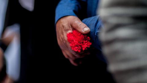 Männerhand hält eine rote Nelke, bei einer Demonstration