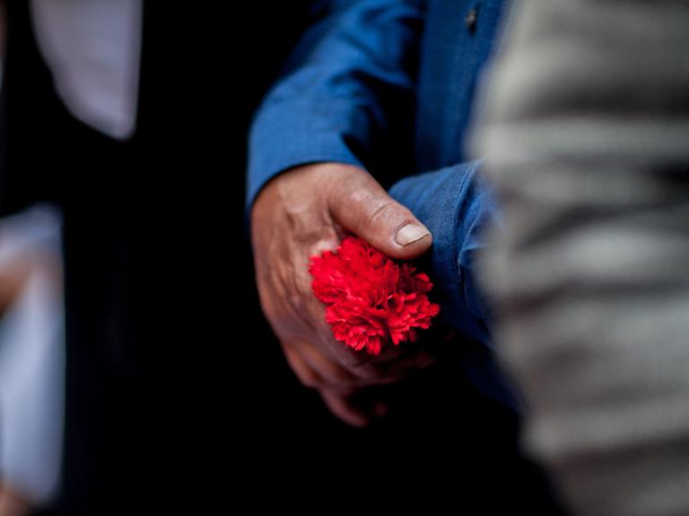 Männerhand hält eine rote Nelke, bei einer Demonstration