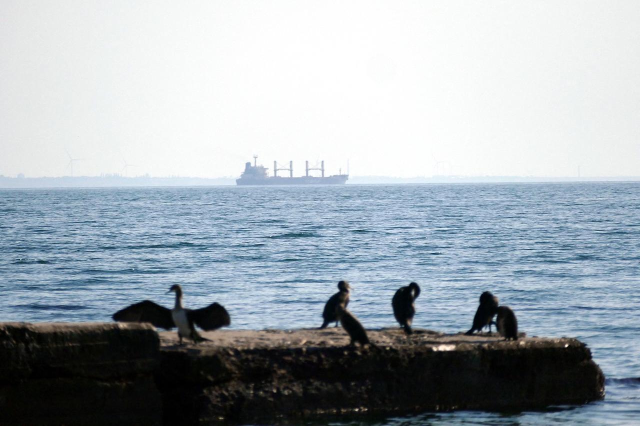 Ein Frachtschiff auf dem Schwarzen Meer, vom Ufer aus gesehen. Im Vordergrund sitzen Seevögel auf einer Mauer.