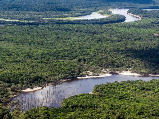 Ein Fluss schlängelt sich durch den Amazonas-Regenwald, aufgenommen aus dem Wassserflugzeug.