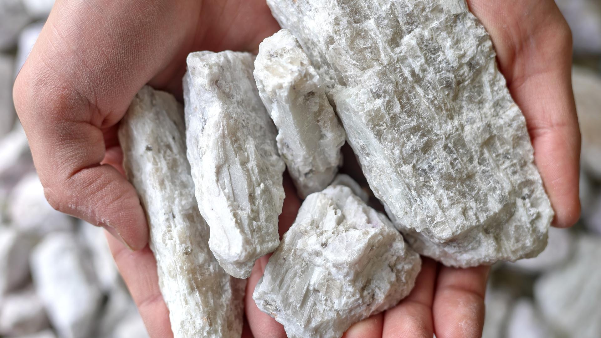 Hände halten ein weißes Gestein, das Lithium enthält(Symbolbild) Hände halten ein weißes Gestein, das Lithium enthält(Symbolbild)