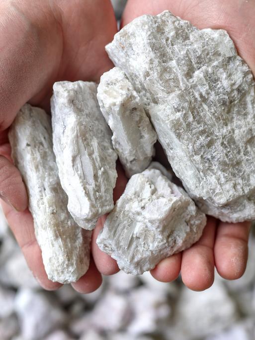Hände halten ein weißes Gestein, das Lithium enthält(Symbolbild)