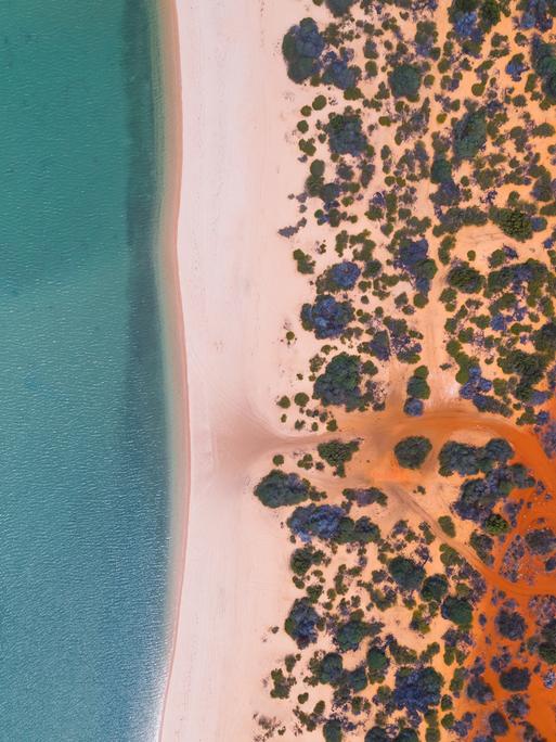 Luftaufnahme eines Strandes in Australien. Durch die Färbung des Wassers und der Wüste, ähnelt die Aufnahme Klimastreifen.