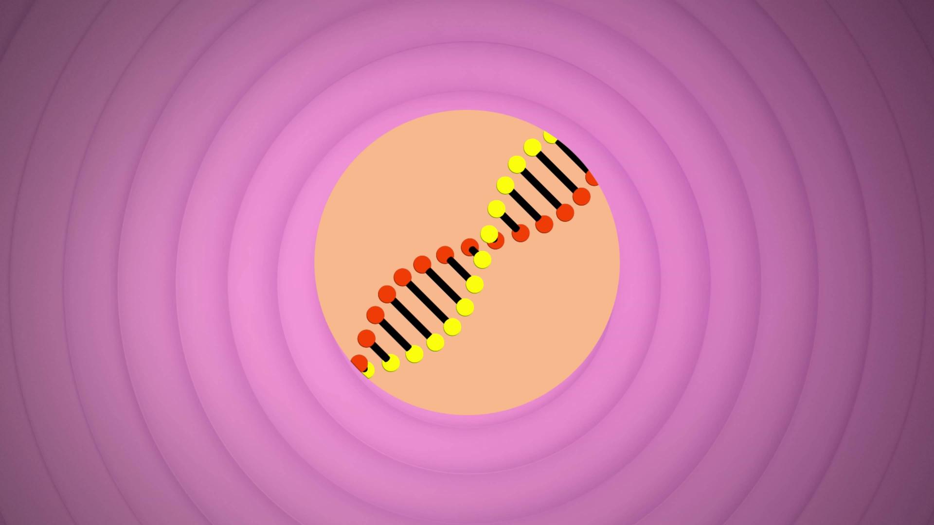 Illustration einer sich drehenden DNA-Struktur über konzentrischen Kreisen vor lila Hintergrund.