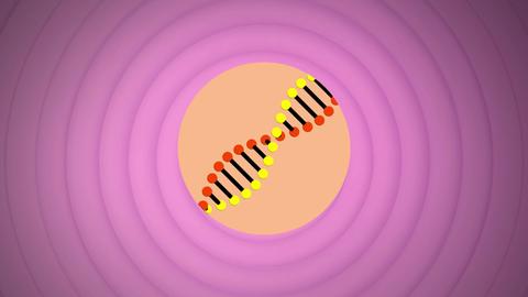 Illustration einer sich drehenden DNA-Struktur über konzentrischen Kreisen vor lila Hintergrund.